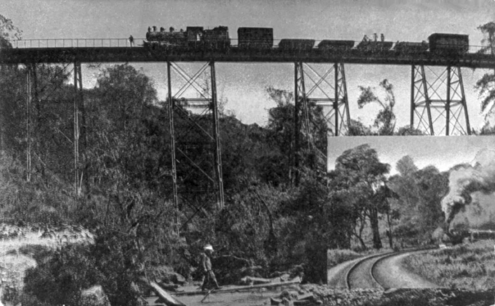 The Lunatic Line: the Indians who built East Africa's railway
