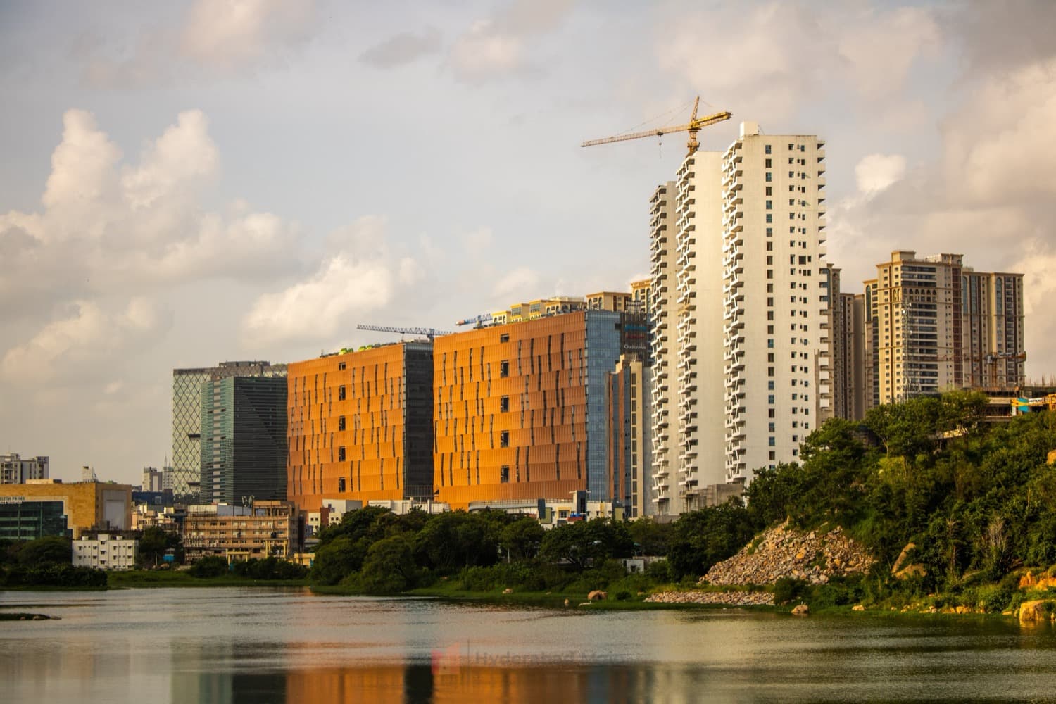 How Telugu became the fastest-growing language in America