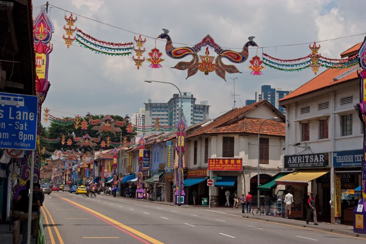 Tamil in Malaysia and Singapore: an official language losing its home